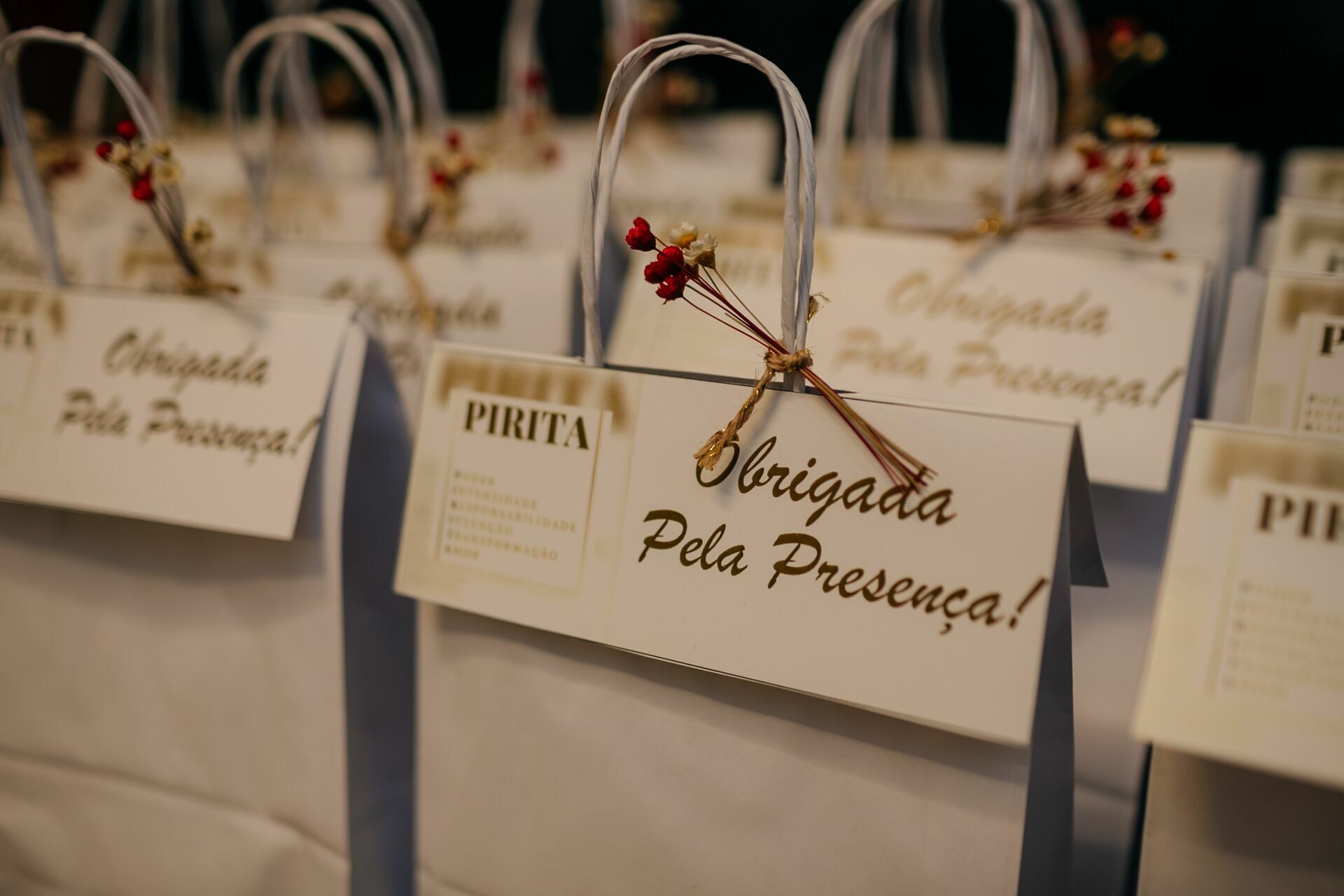 Foto PIRITA  - Imagem 19